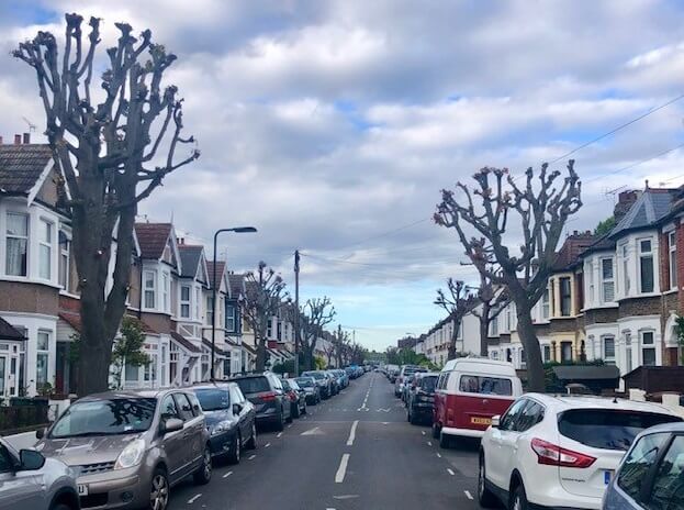 Road with trees and houses either side