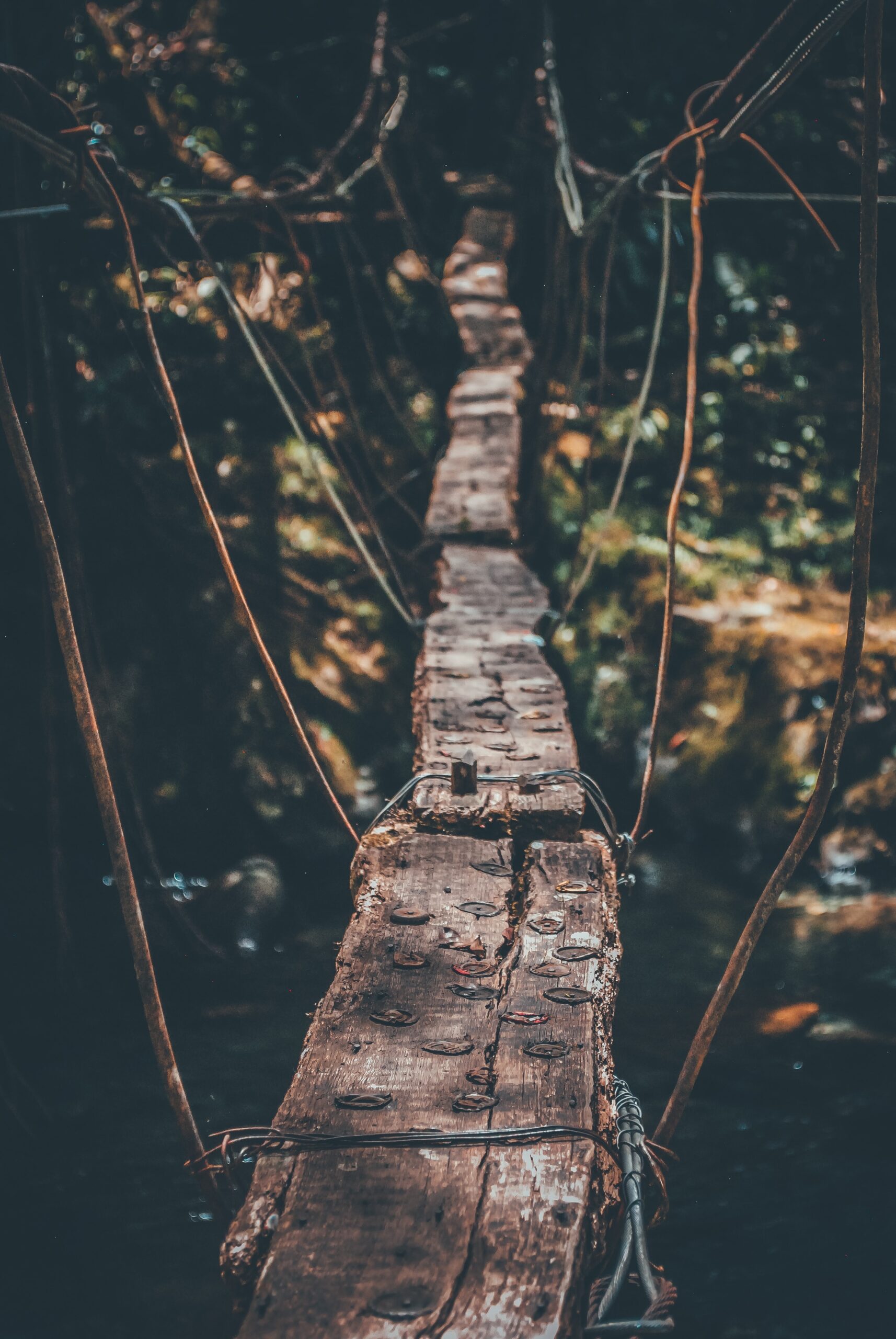 Wooden bridge