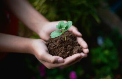 Maintaining hope in uncertain times