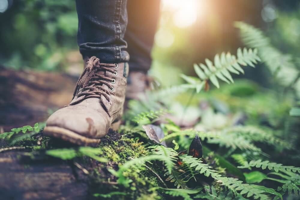 Brown laced boot on leafy ground