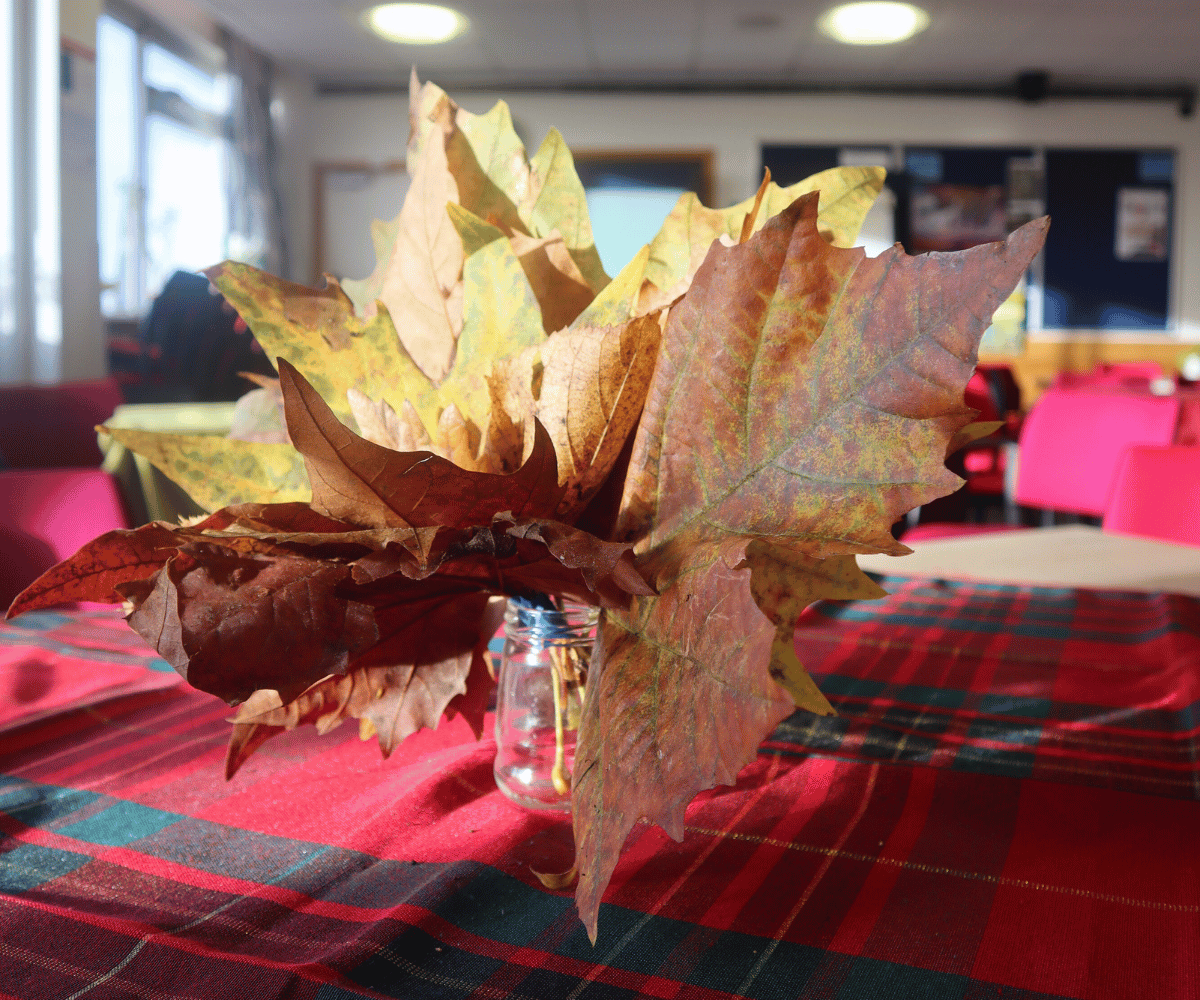 Autumnal Leaf Arrangement